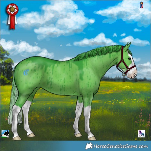Horse Color:Watercolor Grullo Sabino Splash Brindle
