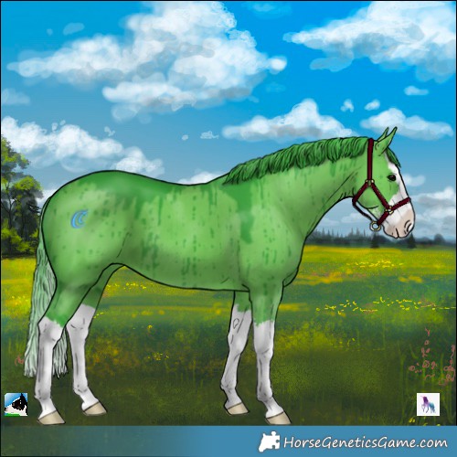 Horse Color:Watercolor Grullo Sabino Splash Brindle 