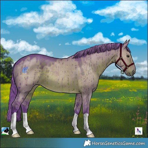 Horse Color:Watercolor Liver Red Dun Brindle 