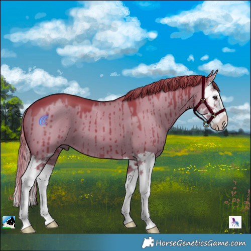 Horse Color:Watercolor Liver Red Dun Splash Brindle 