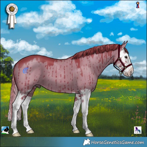 Horse Color:Watercolor Liver Red Dun Splash Brindle 
