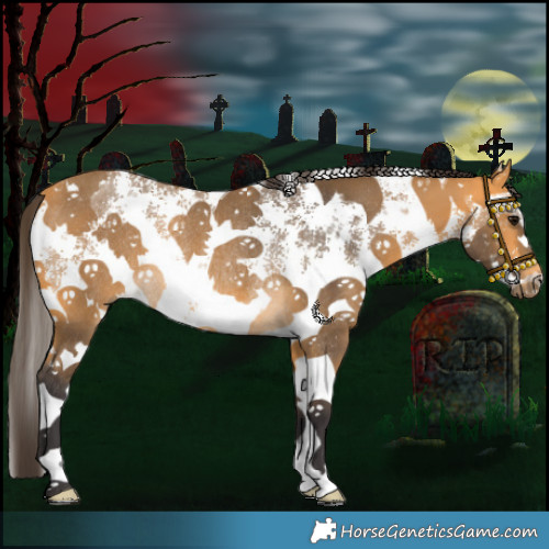 Horse Color:Buckskin Sabino Rabicano 