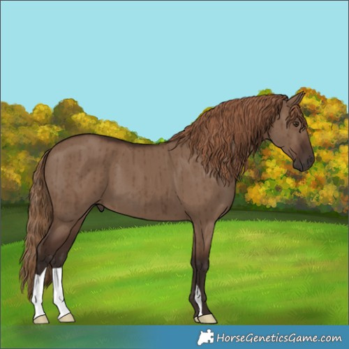 Horse Color:Liver Red Dun Brindle 