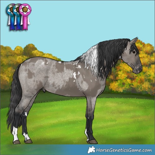 Horse Color:White Spotted Grullo  and Grullo Roan Varnish 