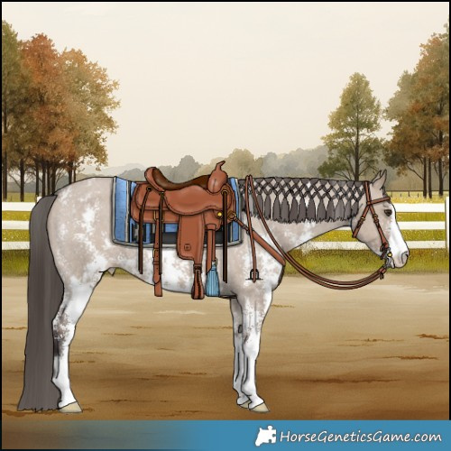 Horse Color:Liver Red Dun Sabino Varnish
