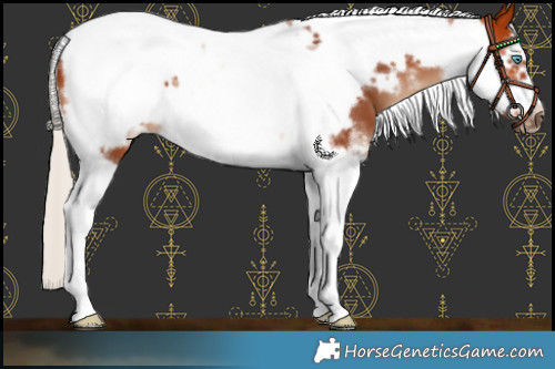 Horse Color:Silver Bay Sabino Tobiano Frame 
