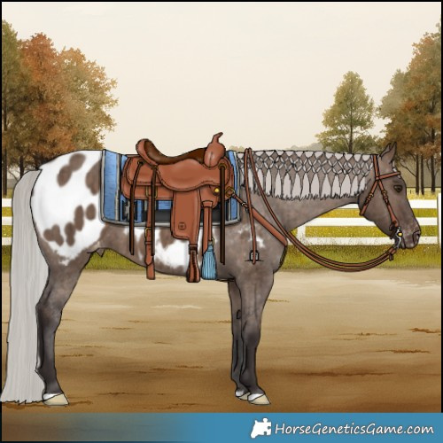 Horse Color:Silver Brown Dun Blanket Brindle