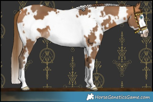 Horse Color:Gray White Spotted Perlino Frame 