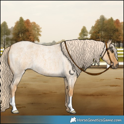 Horse Color:Palomino Roan Dun 