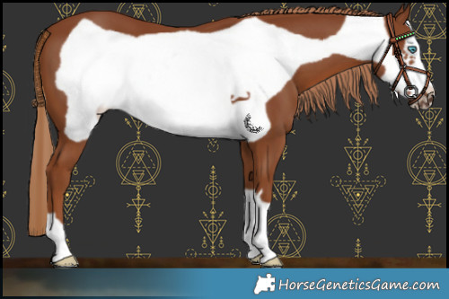 Horse Color:Chestnut Frame