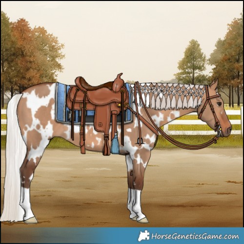 Horse Color:White Spotted Silver Brown Dun 