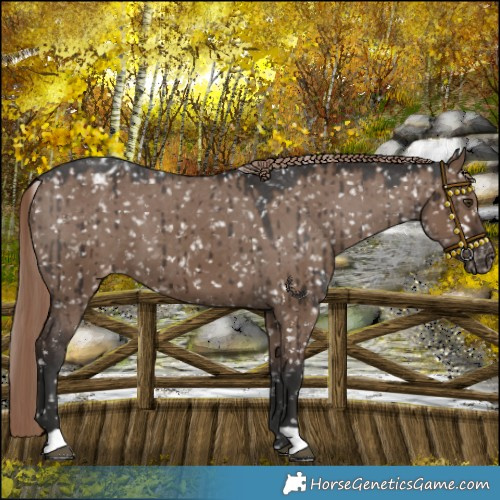 Horse Color:Liver Red Dun Snowflake Varnish Brindle 