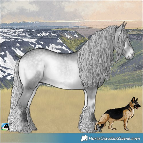 Horse Color:Silver Blue Onyx Chinchilla 