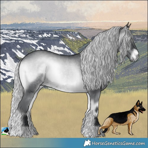 Horse Color:Silver Blue Onyx Chinchilla 