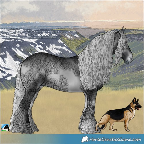 Horse Color:Silver Brown Chinchilla Ice Onyx Sabino 