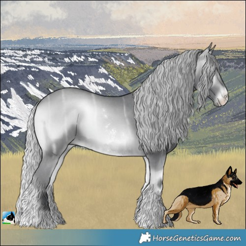 Horse Color:Silver Brown Chinchilla Ice Onyx Sabino