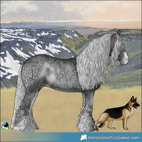 Horse Color:Silver Blue Onyx Chinchilla Ice Sabino 