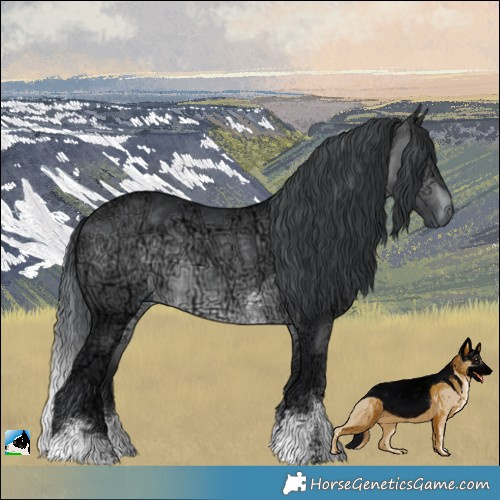 Horse Color:Brown Chinchilla Ice Sabino Rabicano 