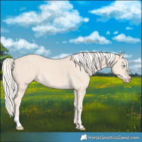 Horse Color:Cremello 