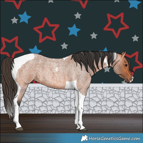 Horse Color:Bay Roan Tobiano 