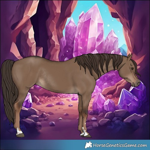 Horse Color:Liver Red Dun Rabicano 