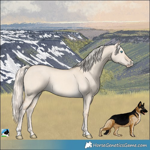 Horse Color:Cremello Dun Rabicano 
