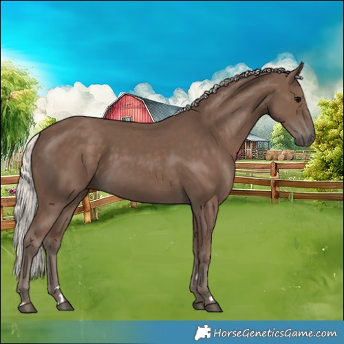Horse Color:Silver Black 