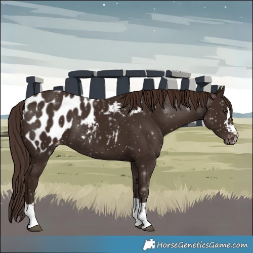 Horse Color:Liver Chestnut Blanket