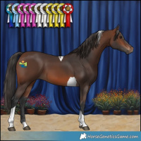 Horse Color:Brown Tobiano 