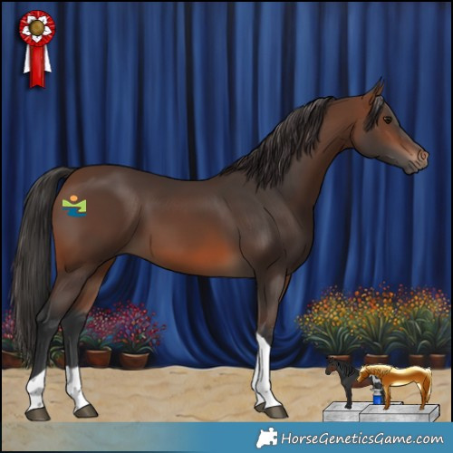 Horse Color:Brown Tobiano 