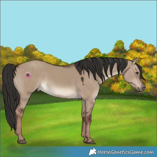 Horse Color:Liver Red Dun 