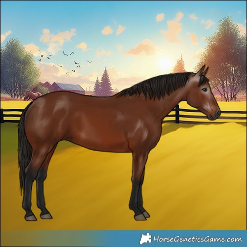 Horse Color:Gray Bay