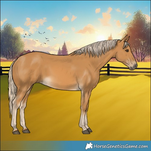 Horse Color:Palomino Rabicano