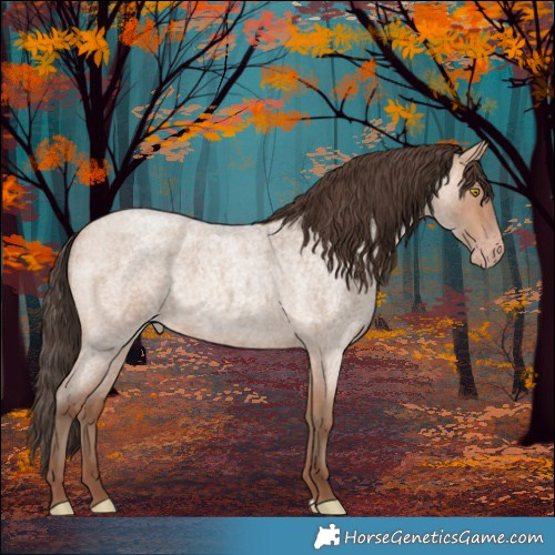 Horse Color:Amber Champagne Roan Rabicano