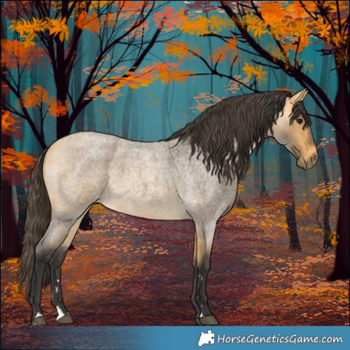 Horse Color:Buckskin Roan 