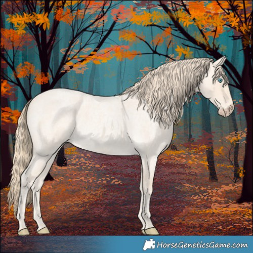 Horse Color:Perlino Roan 