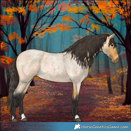 Horse Color:Buckskin Roan 