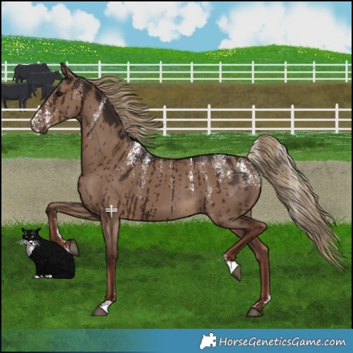 Horse Color:Powder White Liver Red Dun Brindle