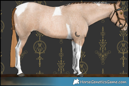 Horse Color:Red Roan Pearl Tobiano Frame 