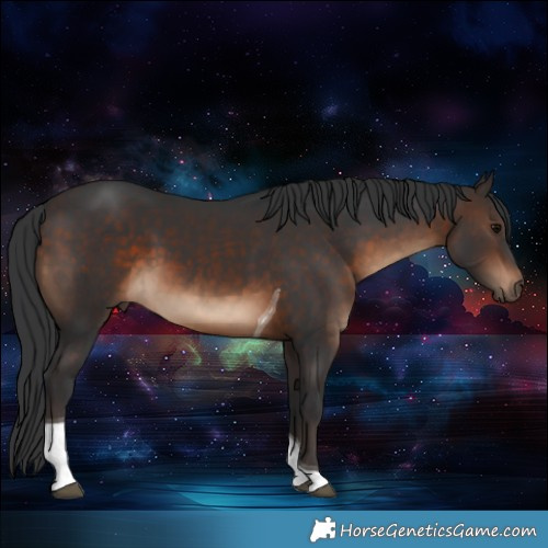 Horse Color:Brown Tobiano