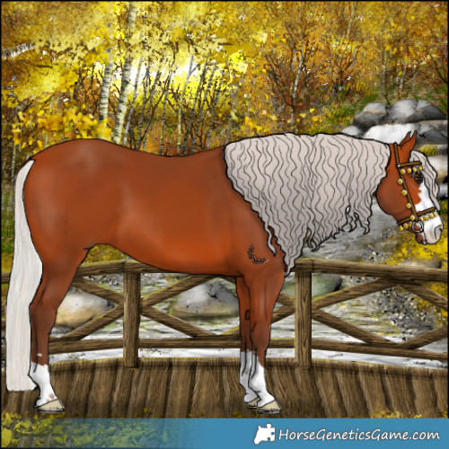 Horse Color:Silver Bay