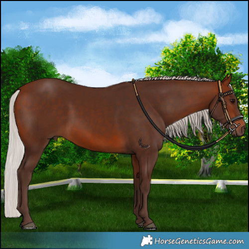 Horse Color:Silver Brown 