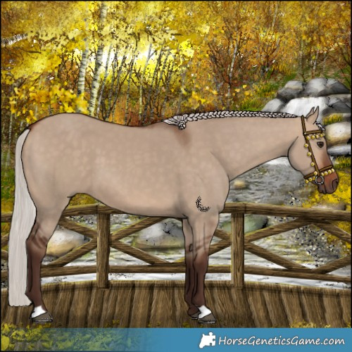 Horse Color:Silver Brown Dun 