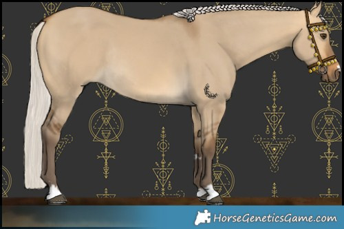 Horse Color:Silver Buckskin Dun Rabicano 