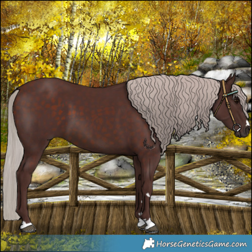 Horse Color:Chocolate Silver Brown 