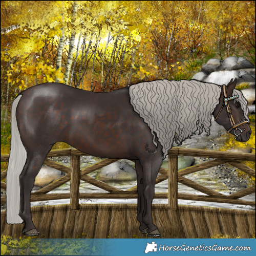 Horse Color:Silver Brown 