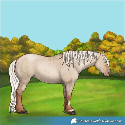 Horse Color:Silver Grullo Pearl Rabicano Brindle