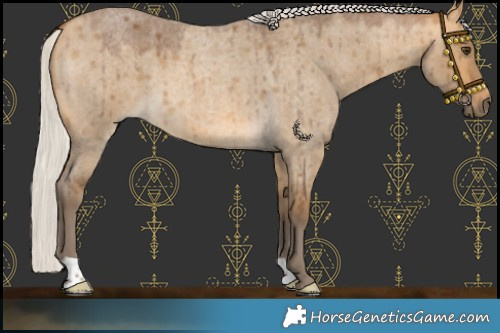 Horse Color:Silver Buckskin Roan Dun Brindle 