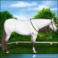Horse Color:Chocolate Bay Chinchilla Roan Dun Rabicano