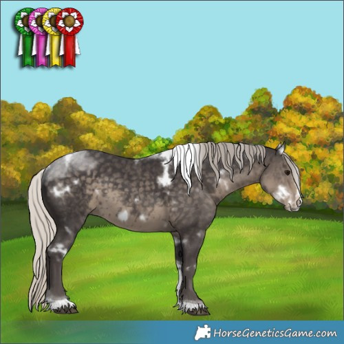 Horse Color:White Spotted Silver Smoky Black Tobiano Frame Rabicano